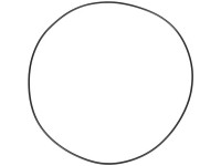 ORING ROATA FATA Fendt