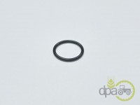 ORING POMPA INJECTIE Deutz