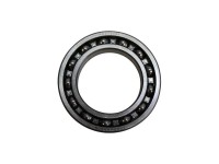 RULMENT PLANETARA FATA John Deere