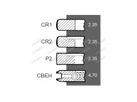 SEGMENTI MOTOR R3 Ford