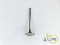 SUPAPA ADMISIE Massey Ferguson