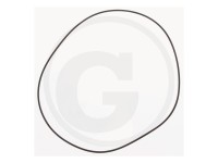 ORING TRANSMISIE Massey Ferguson