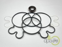 KIT REPARATIE POMPA HIDRAULICA Fendt