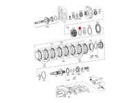 ORING AMBREIAJ TRANSMISIE Steyr