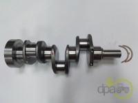 ARBORE MOTOR Landini