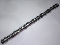 AX CU CAME Lamborghini