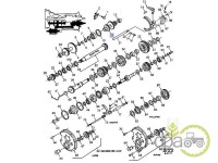 AX CUTIE VITEZA Ford