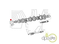 CAPAC TRANSMISIE Fiat