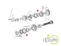 COROANA SINCRON Fiat