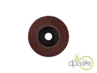 DISC SLEFUIRE 125MM Piese universale