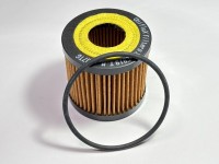 FILTRU ULEI MOTOR