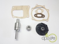 KIT REPARATIE POMPA APA Fiat