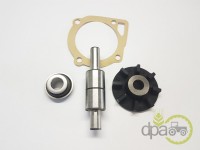 KIT REPARATIE POMPA APA Ford