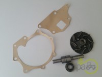 KIT REPARATIE POMPA APA Ford