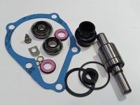 KIT REPARATIE POMPA APA David Brown