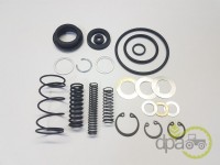 KIT REPARATIE POMPA FRANA Case IH