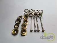 KIT REPARATIE SABOTI FRANA Massey Ferguson