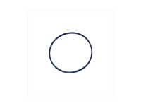 ORING AMBREIAJ Fendt