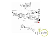 ORING DIFERENTIAL FATA Lamborghini