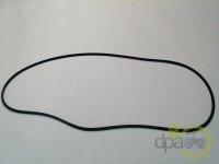 ORING DISC FRANA Fiat