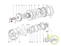 ORING PRIZA PUTERE Same