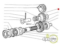 PINION CUPLARE PUNTE FATA Fiat