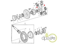 PINION DIFERENTIAL SPATE Fendt