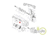 PINION PLANETAR FATA Massey Ferguson