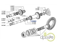 PINION PUNTE FATA Fiat