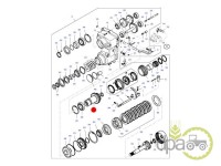 PINION TRANSMISIE Z29 Massey Ferguson