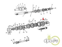 PINION VITEZA 1 Z47 Fiat