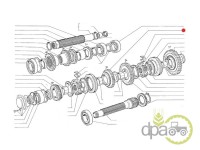 PINION VITEZA 3 Fiat