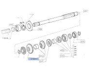 PINION VITEZA 3 Z32 Fiat