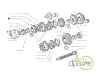 PINION VITEZA 4 Z29 Fiat