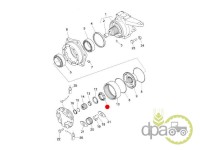 PIULITA BUTUC FATA Landini