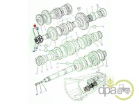 PIULITA+SAIBA CUTIE VITEZA Massey Ferguson