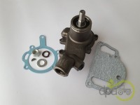 POMPA APA Massey Ferguson