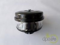 PREFILTRU AER Massey Ferguson