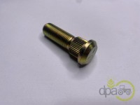 PREZON ROATA FATA Ford