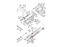 RULMENT PRIZA PUTERE Case IH