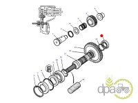 RULMENT PRIZA PUTERE Massey Ferguson