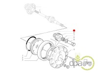SAIBA PINION SATELIT FATA New Holland