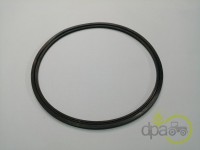 SEGMENT AMBREIAJ TRANSMISIE Massey Ferguson