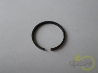 SEGMENT POMPA HIDRAULICA Massey Ferguson