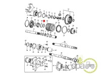 SEGMENT PRIZA PUTERE Ford