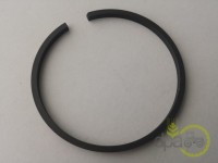 SEGMENT PRIZA PUTERE Ford