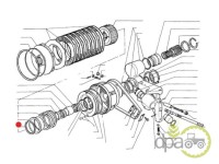 SEGMENT PRIZA PUTERE Fiat