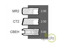 SEGMENTI MOTOR Landini
