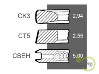 SEGMENTI MOTOR Renault