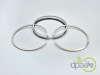 SEGMENTI MOTOR Landini